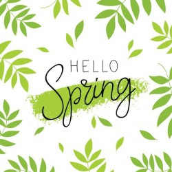 Spring Equinox: การค้นหาความสมดุลบนท้องถนนและในฤดูกาล